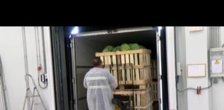 Europa insta a España a realizar más controles de las frutas y verduras que se importan de Marruecos para evitar re etiquetado de productos