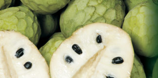 Las exportaciones de Chirimoya a la Unión Europea aumentan un 1% en lo que va de campaña pese al incremento de precios