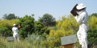La Junta consensua con el sector apícola el destino del aumento presupuestario del Programa Nacional Apícola