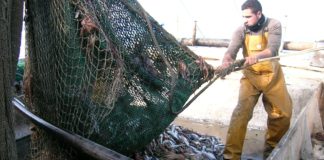 La Junta convoca ayudas por la paralización temporal del sector del palangre del Mediterráneo y prepara más de un centenar de cursos sobre pesca