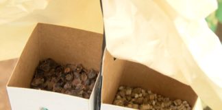 HORTYFRUTA anima a los agricultores a que continúen con el control biológico de plagas en primavera