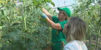 La subida de los costes de producción pone en riesgo la viabilidad de las explotaciones profesionales agrarias según COAG