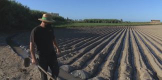 El Gobierno destina 30 millones de euros a mejorar el consumo de energía en el campo