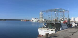 La Junta abre el martes el plazo para solicitar ayudas pesqueras por la proliferación del alga asiática