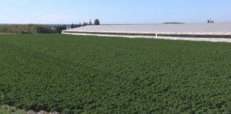 La organización agraria Unión de Uniones de Agricultores y Ganaderos denuncia que en 2020 se produjeron en España 23 robos al día en explotaciones agrarias