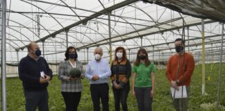 La Junta promueve la producción de melón y sandía con control biológico en los invernaderos de la Costa de Granada