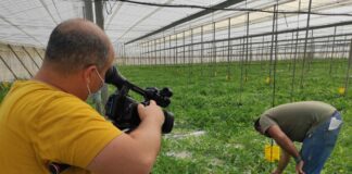 La Junta amplía hasta el 31 de mayo el plazo para presentar solicitudes de la PAC 2021