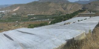 La Junta de Andalucía simplifica los trámites para las nuevas ayudas de modernización de explotaciones