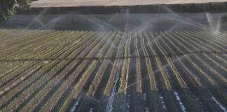 La AEMET participa en un nuevo servicio de formación y sensibilización para ayudar a los agricultores en cuanto al regadío