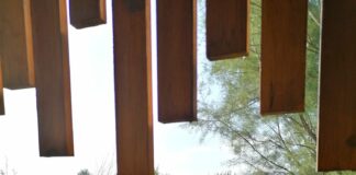 La Charca de Suárez celebra el ‘Día Europeo de la Red Natura 2000’