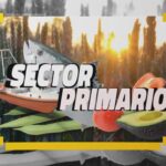 sector primario cabecera00000000
